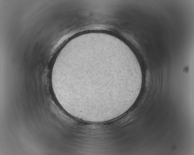 X0000115411404200912011329