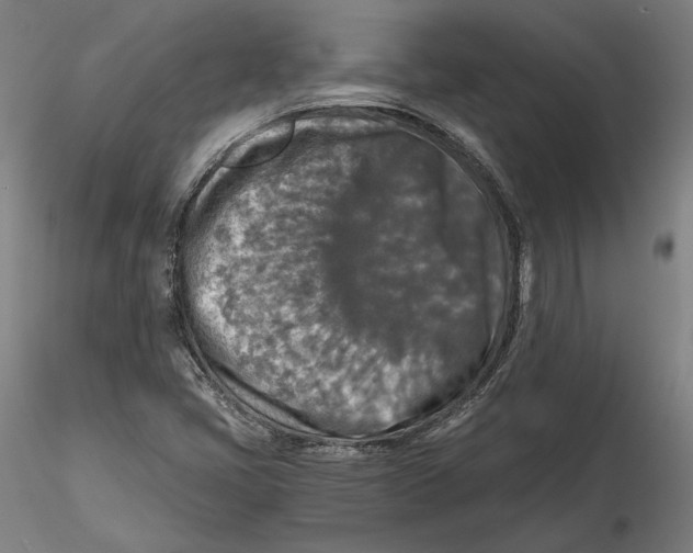 X0000115411405200912011329