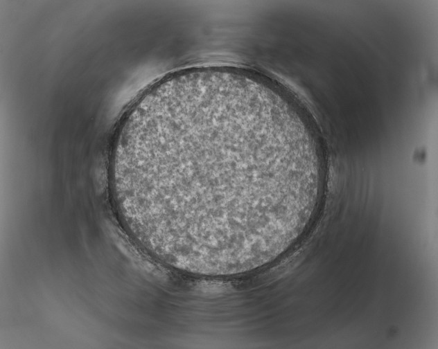 X0000115411407200912011329