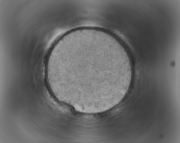 X0000115411408200912011329