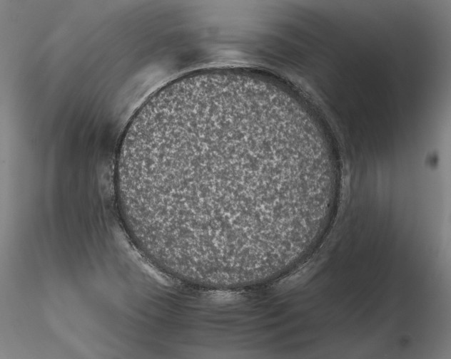 X0000115411409200912011329