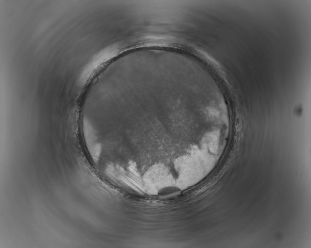 X0000115411411200912011329