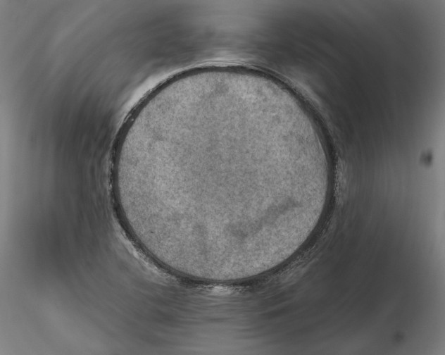 X0000115411412200912011329