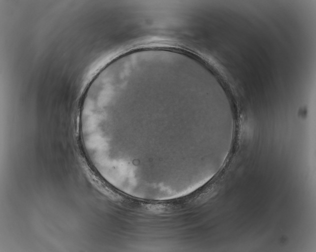 X0000115411413200912011329