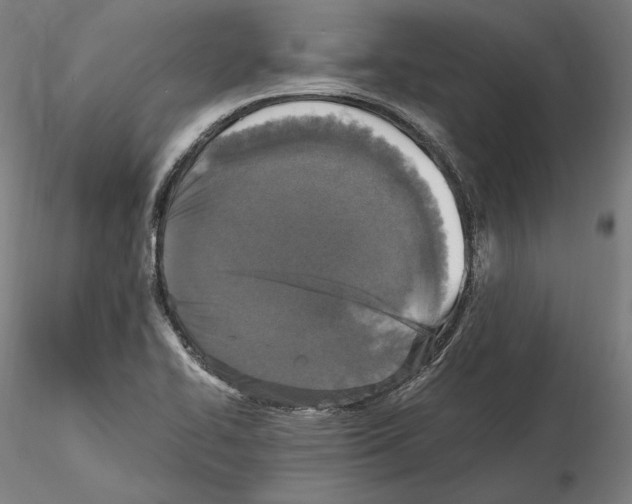 X0000115411414200912011329