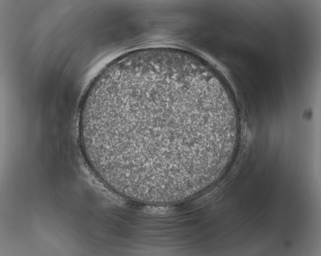 X0000115411415200912011329