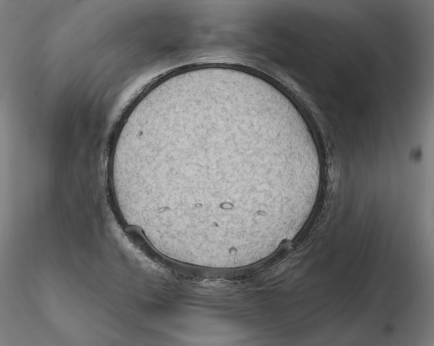 X0000115411416200912011329