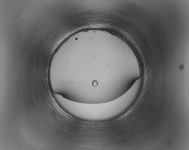 X0000115411417200912011329