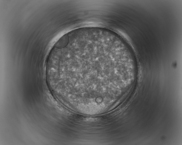 X0000115411419200912011329