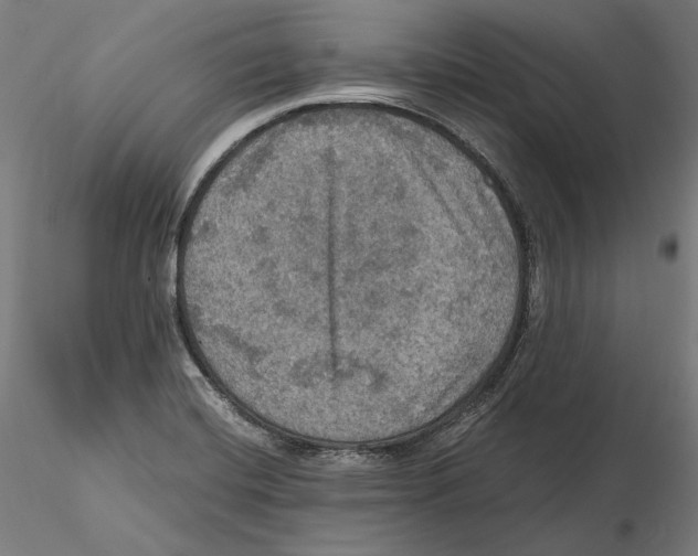 X0000115411420200912011329