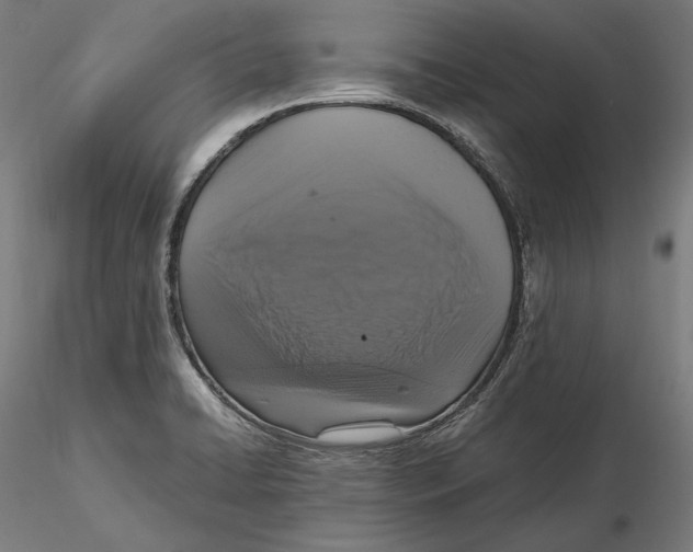 X0000115411422200912011329