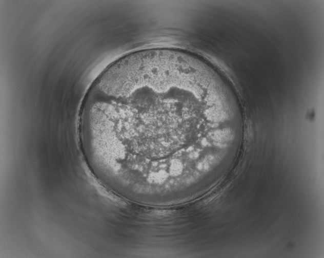 X0000115411423200912011329