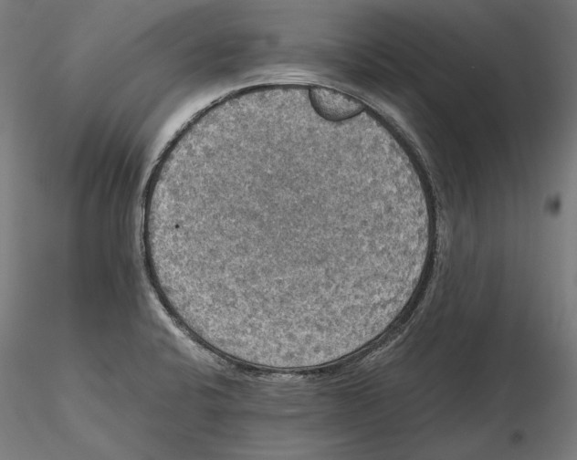 X0000115411424200912011329