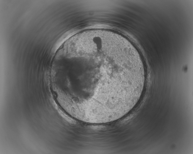 X0000115411425200912011330