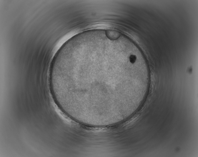 X0000115411426200912011330