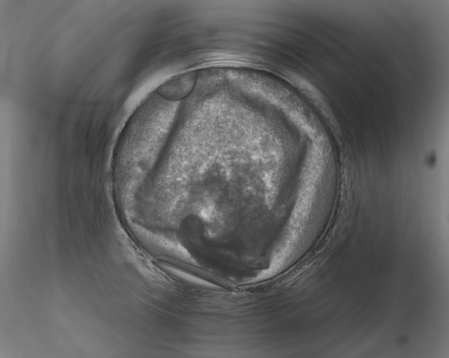 X0000115411427200912011330