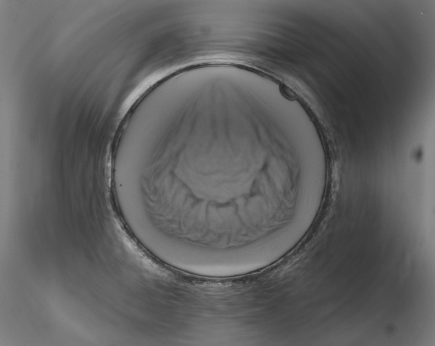 X0000115411428200912011330