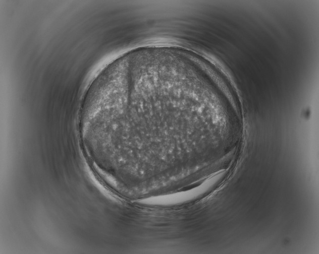 X0000115411429200912011330