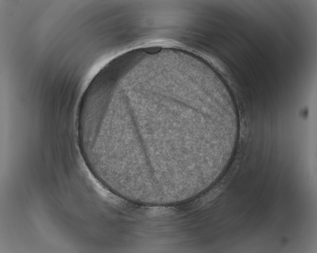 X0000115411430200912011330