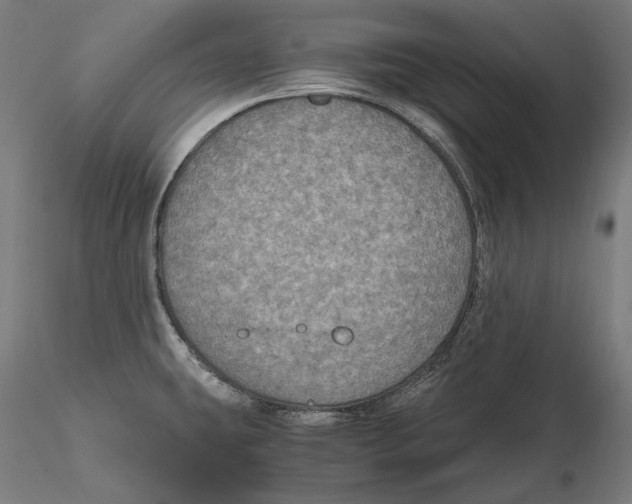 X0000115411431200912011330