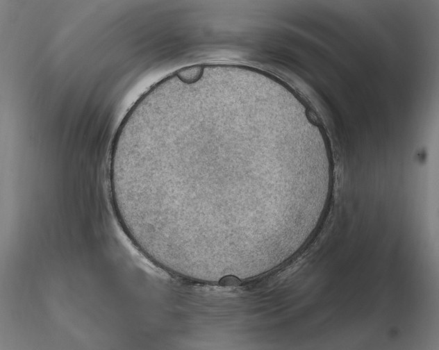 X0000115411432200912011330