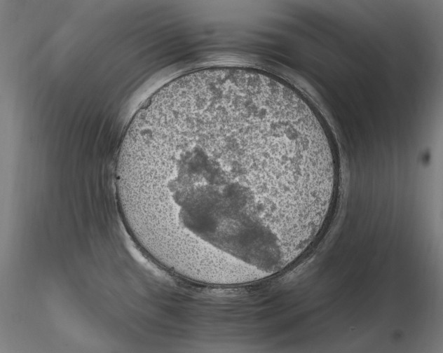 X0000115411433200912011330