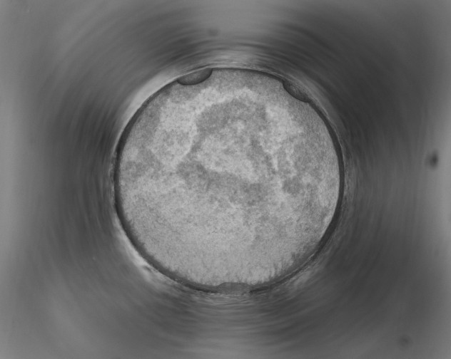 X0000115411434200912011330