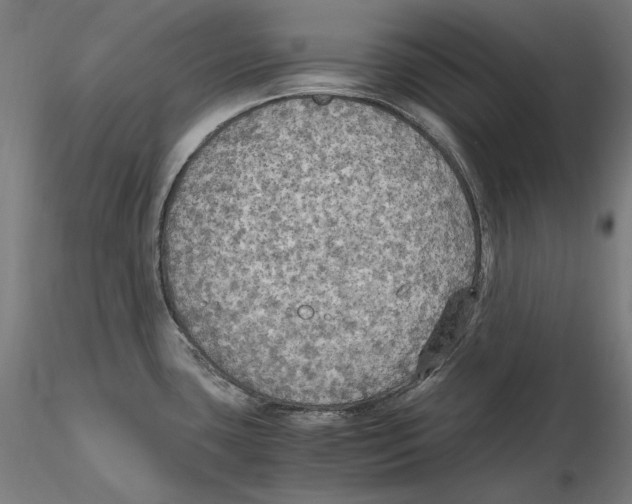 X0000115411435200912011330