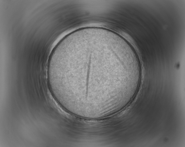 X0000115411436200912011330