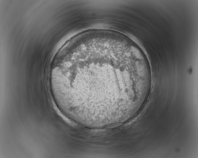 X0000115411437200912011330