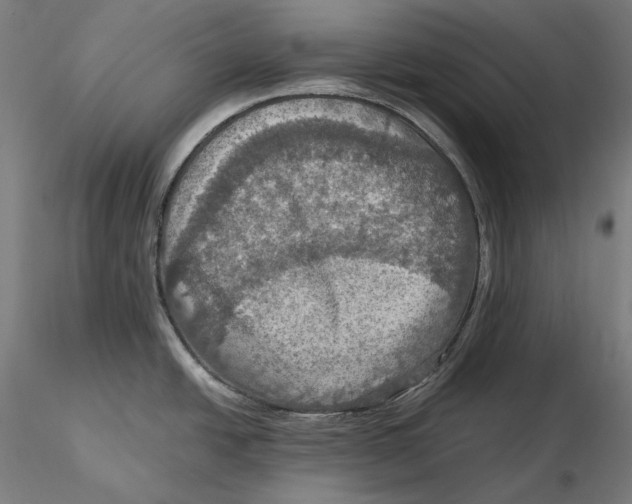 X0000115411438200912011330