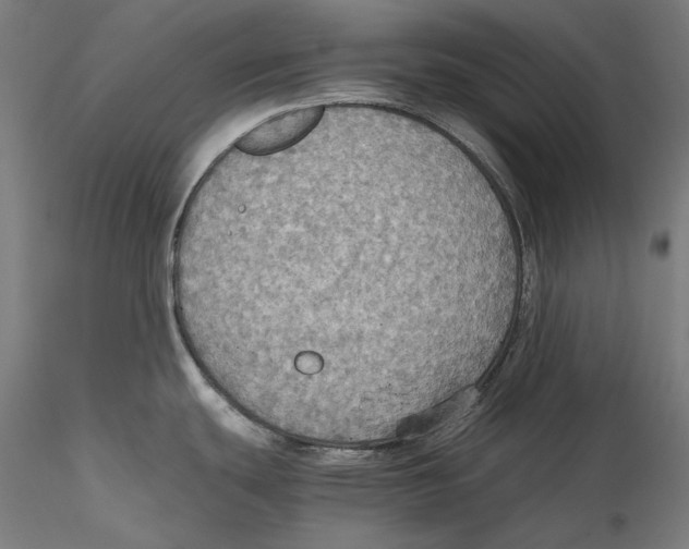 X0000115411439200912011330