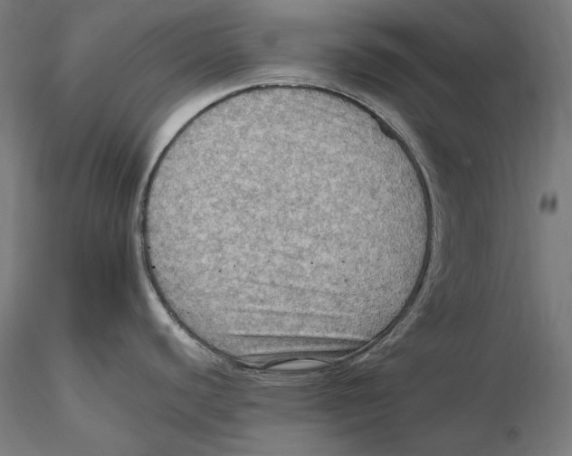 X0000115411440200912011330