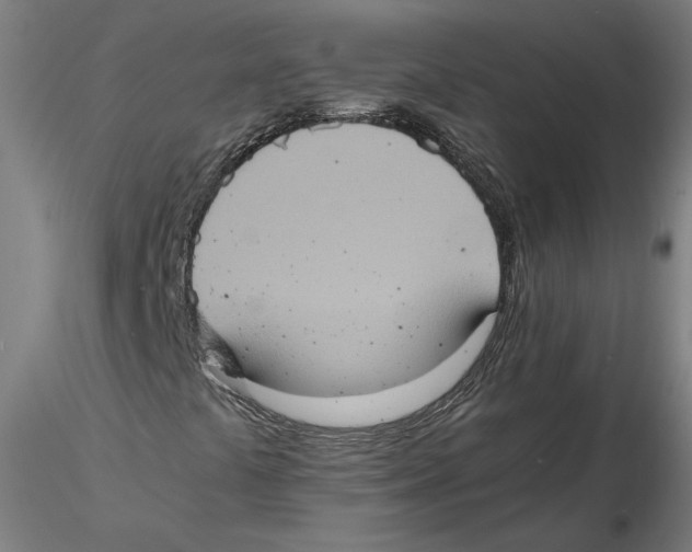 X0000115411441200912011329