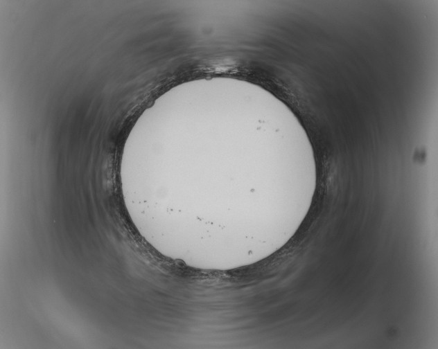 X0000115411442200912011329