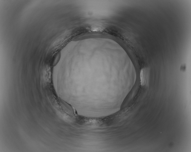 X0000115411443200912011329