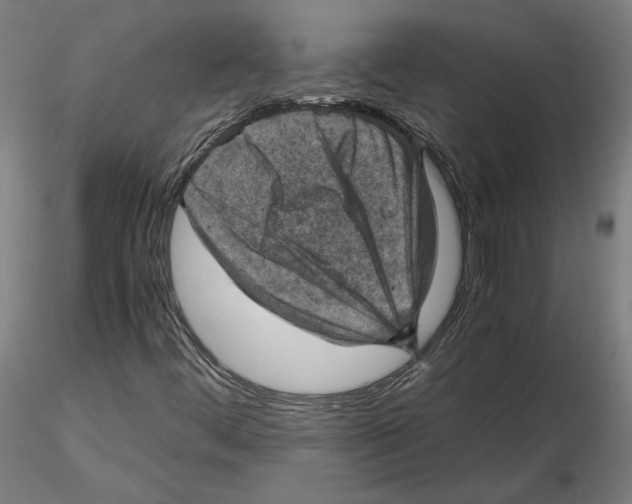 X0000115411444200912011329