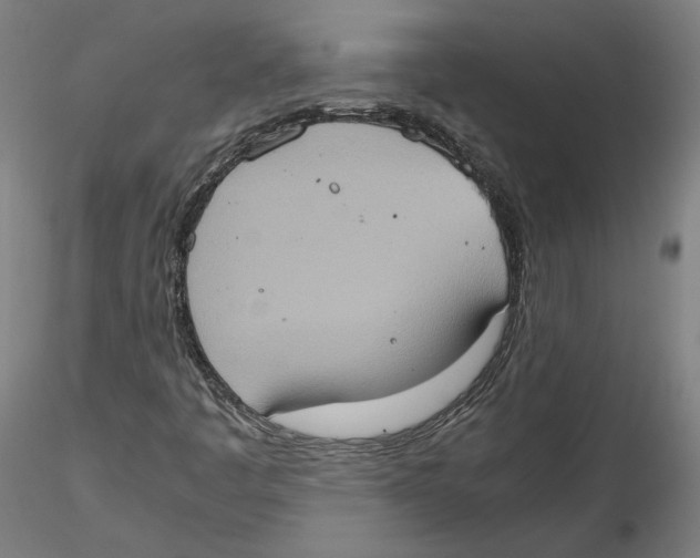 X0000115411445200912011329