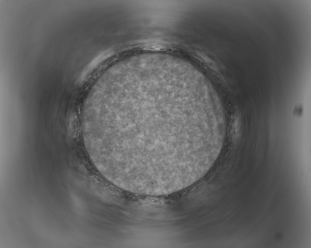 X0000115411446200912011329