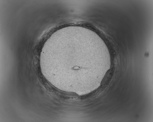 X0000115411447200912011329