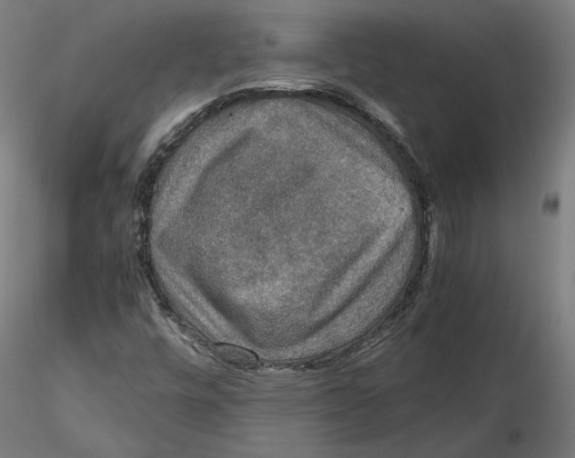 X0000115411448200912011329