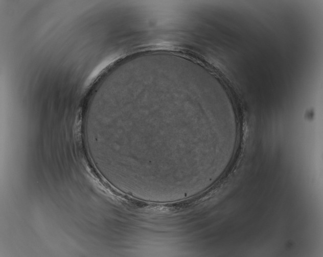 X0000115411450200912011329