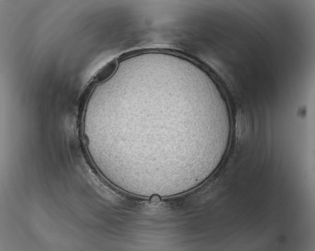 X0000115411452200912011329