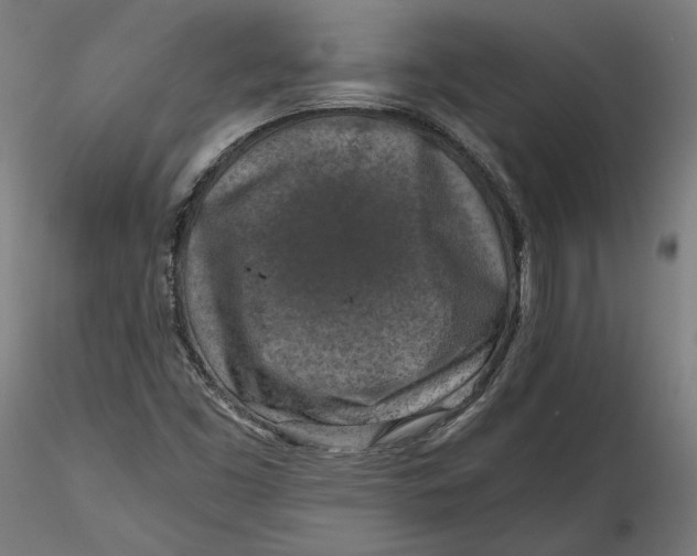 X0000115411453200912011329