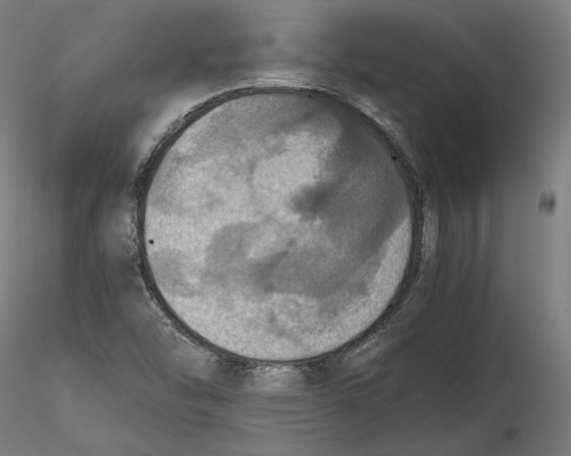 X0000115411454200912011329