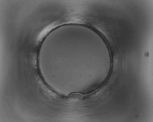 X0000115411455200912011329