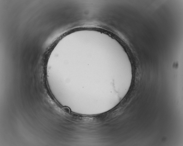 X0000115411456200912011329