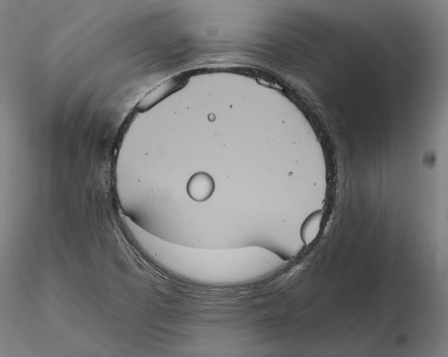 X0000115411457200912011329