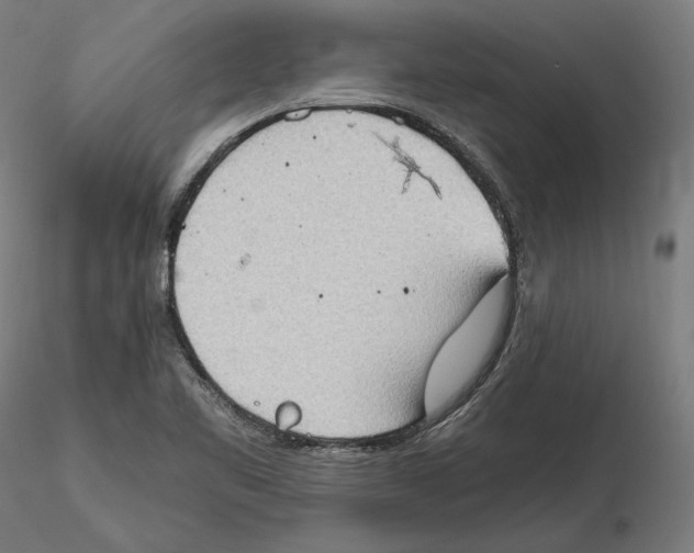 X0000115411461200912011329