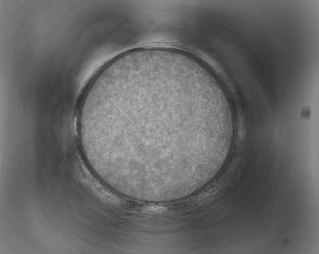 X0000115411462200912011329